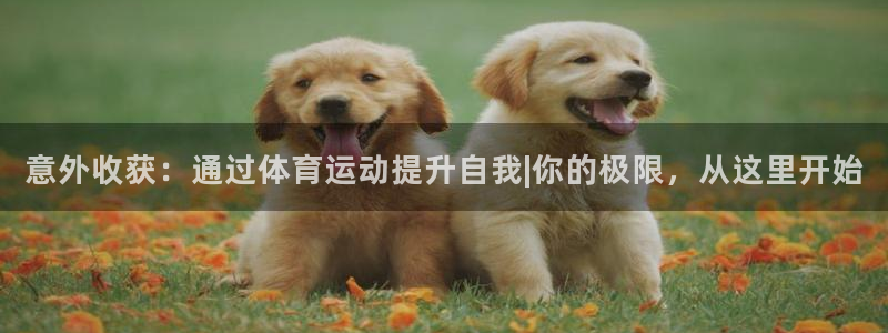 哈哈体育十年：意外收获：通过体育运动提升自我|你的极限，从这里开始