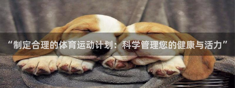 哈哈体育十年：“制定合理的体育运动计划：科学管理您的健康与活力”