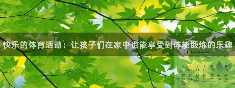 哈哈体育：快乐的体育活动：让孩子们在家中也能享受到体能锻炼的乐趣