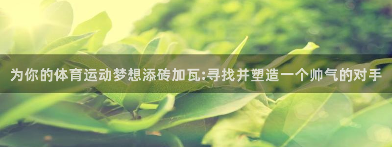 哈哈体育十年：为你的体育运动梦想添砖加瓦:寻找并塑造一个帅气的对手