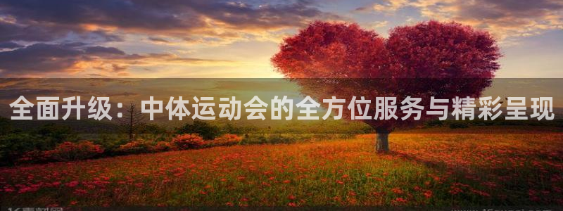 哈哈体育：全面升级：中体运动会的全方位服务与精彩呈现