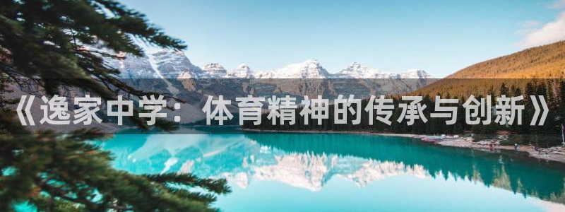 哈哈体育：《逸家中学：体育精神的传承与创新》