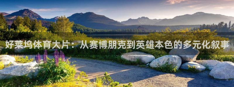 哈哈体育：好莱坞体育大片：从赛博朋克到英雄本色的多元化叙事