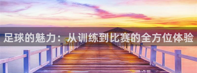 哈哈体育十年：足球的魅力：从训练到比赛的全方位体验