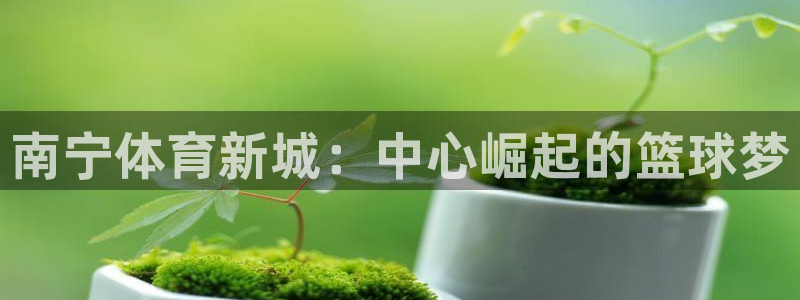 哈哈体育：南宁体育新城：中心崛起的篮球梦