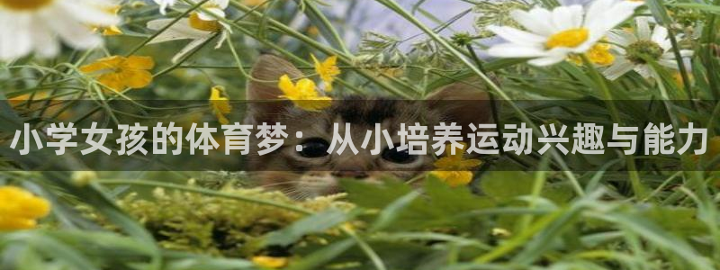 哈哈体育十年：小学女孩的体育梦：从小培养运动兴趣与能力